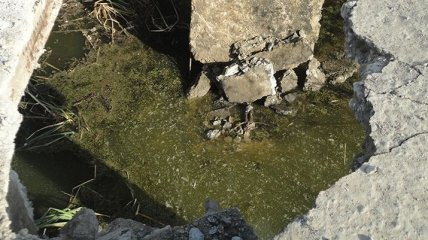 На Закарпатье обвалился мост