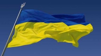 Всемирный конгресс украинцев сделал заявление по поводу Савченко