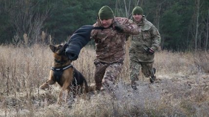 На Луганщине пограничники одели служебных собак в бронежилеты (Видео)