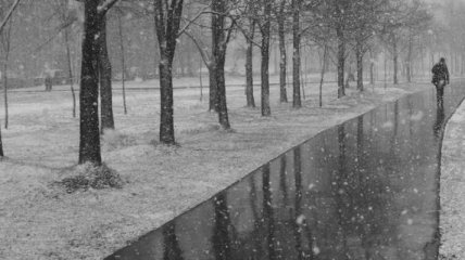 Погода в Украине на 12 декабря: в некоторых регионах дождь со снегом