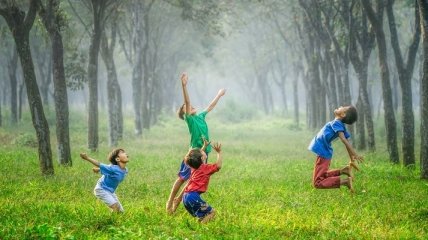 Вчені дали пояснення, чому IQ сільських дітей вище ніж у міських