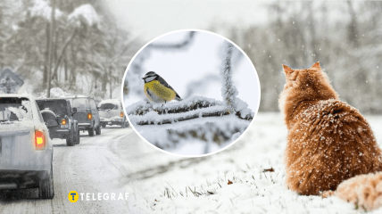 Погода в Україні взимку