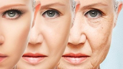 Ученые исследовали, что недоедание приводит к быстрому старению кожи 