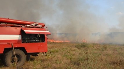 В Николаевской области горела сухая трава
