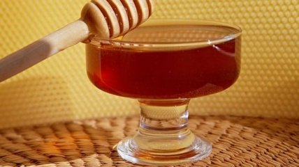 Настоящие свойства гречишного мёда раскрыл эксперт