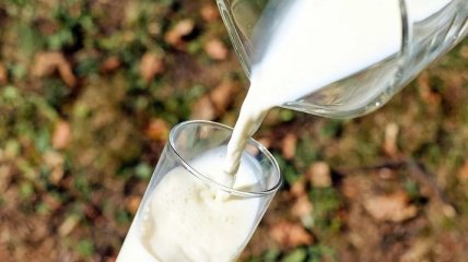 Развеяны популярные мифы о молоке