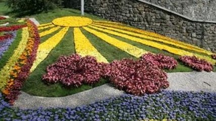 300 тысяч цветов высадили на Спивочому поли ко Дню Независимости