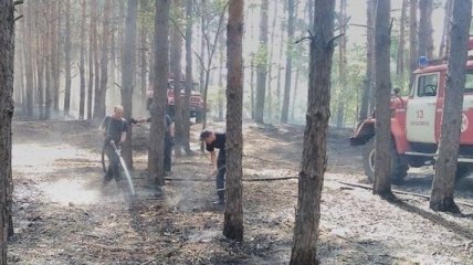 Масштабный пожар на Херсонщине удалось потушить 