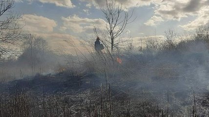 В Житомирской области все еще есть четыре очага пожара
