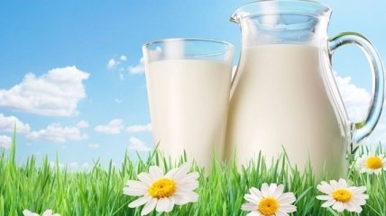 Магазинное молоко вредит здоровью 