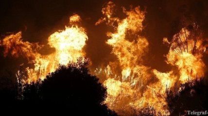 В Испании бушуют самые обширные лесные пожары за последние 10 лет