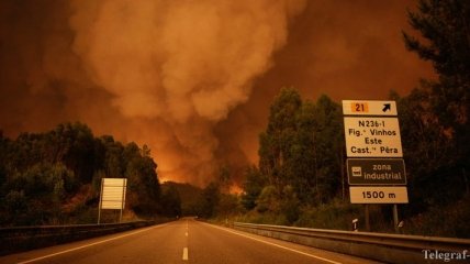 Лесные пожары в Португалии: в стране объявлен режим ЧП