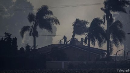 Лесные пожары в Калифорнии: как стихийное бедствие выглядит из космоса (Фото)