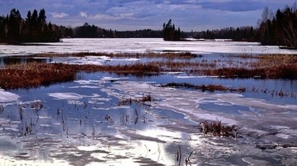 Погода на неделю: на Украину надвигается похолодание