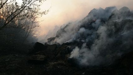 На Тернопольщине сгорело 7 тысяч тюков с соломой