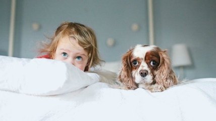 Как выбрать собаку для ребенка: некрупные породы