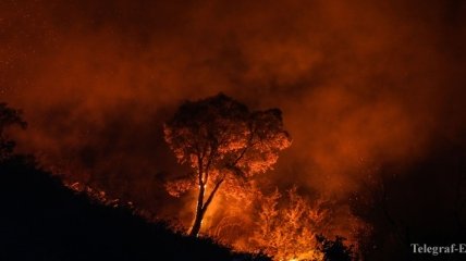 Лесные пожары в Португалии: Огонь распространяется близ популярного курорта