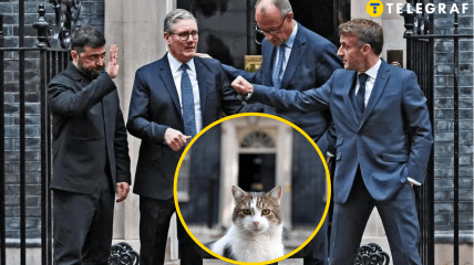 Лидеры Украины, Великобритании, ФРГ, Франции и кот Ларри