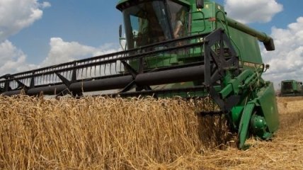 Азаров верит в рост мирового спроса на украинскую агропродукцию