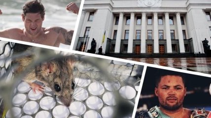 Итоги дня 26 января: принятие закона о референдуме и хантавирус в Украине