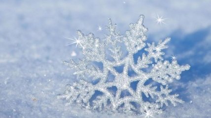Погода в Украине 8 января: ожидается снег, местами сильный 