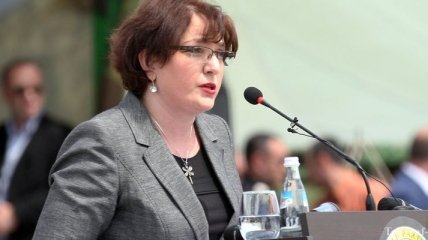 Министр обороны Грузии: Высказывания представителя РФ в ОБСЕ - некорректны