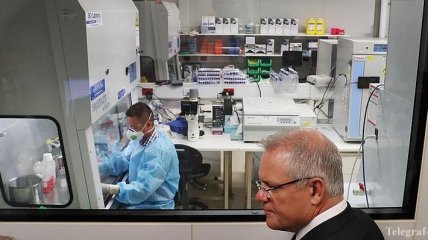 В Новой Зеландии обнаружили коронавирус