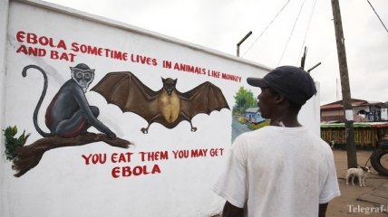 Жертвами продолжающейся эпидемии Эболы в ДРК стали уже более 600 человек
