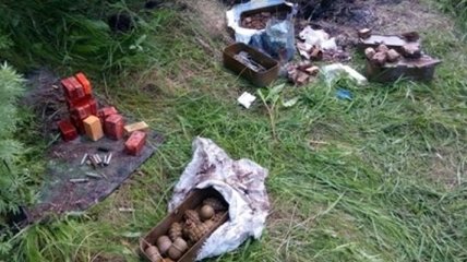 В лесу на Донетчине обнаружен схрон с тротилом 