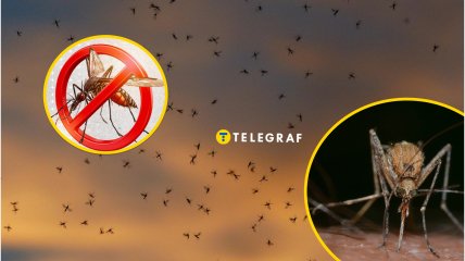 Як боротися з комарами