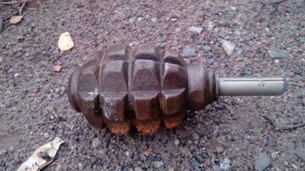 В Донецкой области на школьном дворе нашли гранату