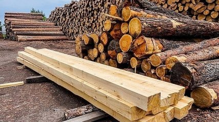 В Украине новые правила продажи древесины 