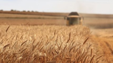 Україна може отримати новий показник врожайності за 2020 рік