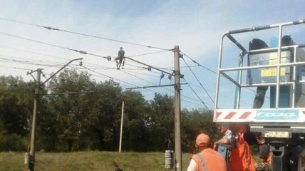 В Днепропетровской области мужчина залез на электроопору: фото