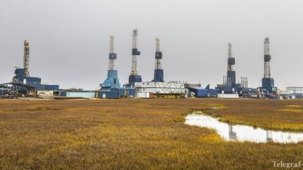 Трамп планирует расширить добычу нефти в заповеднике на Аляске