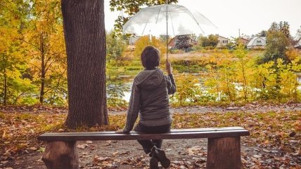 Туманы и дожди: прогноз погоды на 15-16 ноября