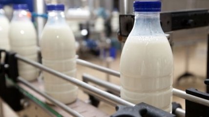 Экспорт молочной продукции из Украины сократился на $79 млн 
