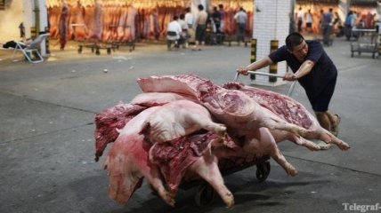 Со вступлением в ВТО Россия снизит пошлину на ввоз свинины