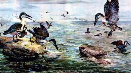 Ученые раскрыли неизвестные ранее подробности превращения динозавров в птиц