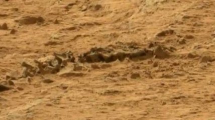 Curiocity нашел на Марсе не только скелет