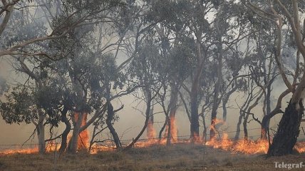 Новая волна пожаров: австралийцев предупредили об ухудшении воздуха (Фото, Видео)