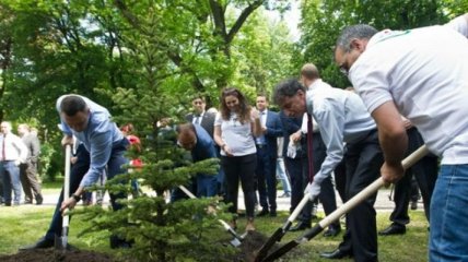 В Киеве Кличко с послом Израиля высадили деревья (Видео)