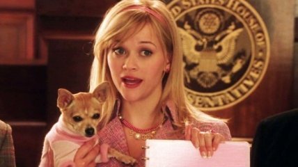 Риз Уизерспун ведет переговоры о возвращении в фильм "Блондинка в законе 3"