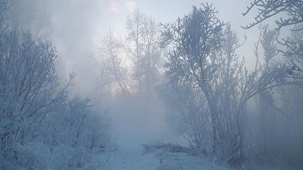 Синоптики предупреждают об опасности: в Украине ожидается сильный туман и гололед