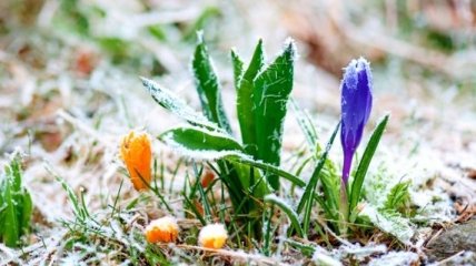Прогноз погоды в Украине на 23 марта: в понедельник ожидаются морозы