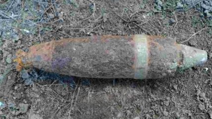 Возле базы отдыха в Одесской области найдены снаряды