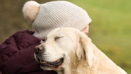 Лучший друг: трогательные снимки собак с британского фотоконкурса (Фото) 