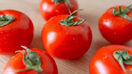Яка хвороба може знищити врожай томатів
