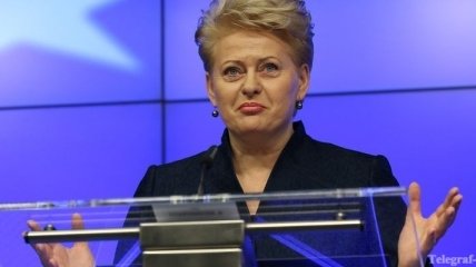 Президент Литвы: Власти Украины бросили вызов своему народу 