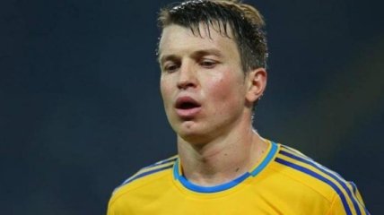 Ротань: Уверен, что Шевченко останется в сборной Украины